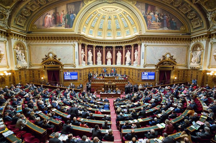 senato