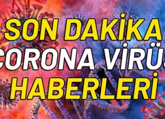 FRANSA’DA KORONAVİRÜSE YAKALANAN 10 TÜRK VATANDAŞI ÖLDÜ