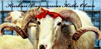 KURBAN BAYRAMINIZ KUTLU OLSUN.