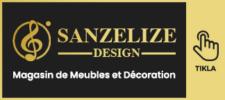 Sanzelize Design