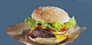 FRANSA’DA SATILIK FAST FOOD İŞLETMESİ